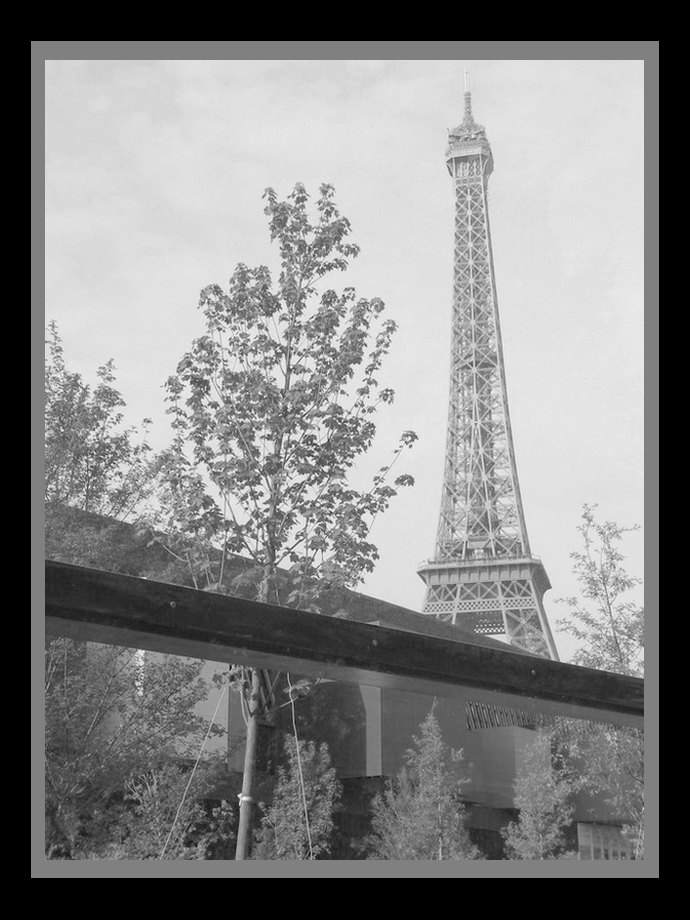 Quai Branly en Noir et Blanc: Tour Eiffel vue du Quai Branly-4